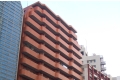東京事務所