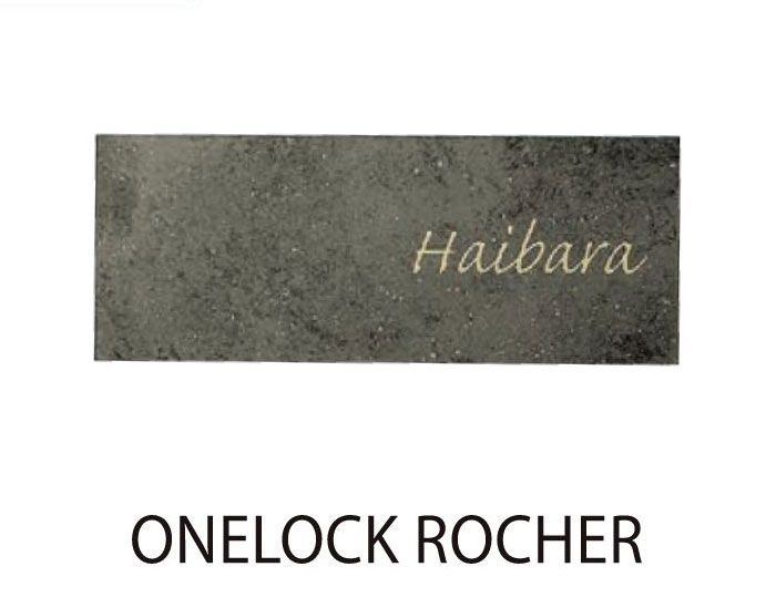 ワンロック®ロシェ