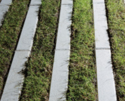 芝の植え付けが簡単