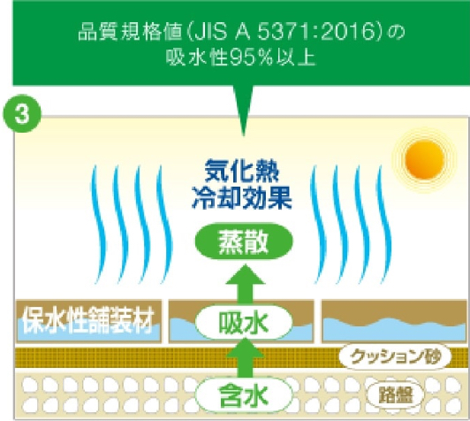 気温上昇によって保水した水分を蒸散。さらに路盤の水分を毛細管作用で吸水して蒸散を持続します。