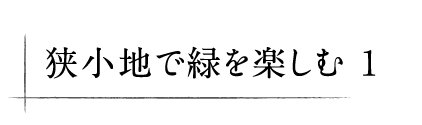 狭小地で緑を楽しむ 1