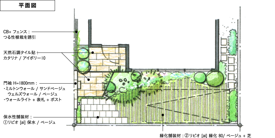 平面図