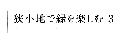 狭小地で緑を楽しむ 3