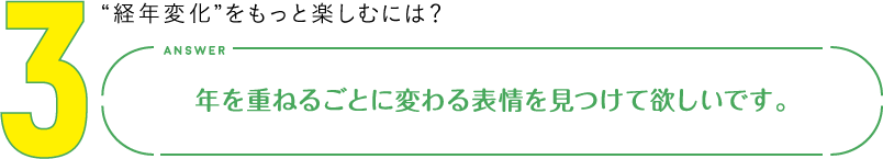 3.“経年変化”をもっと楽しむには？