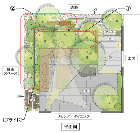 平面図