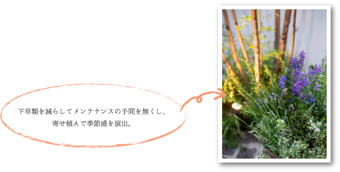 下草類を減らしてメンテナンスの手間を無くし、 寄せ植えで季節感を演出。