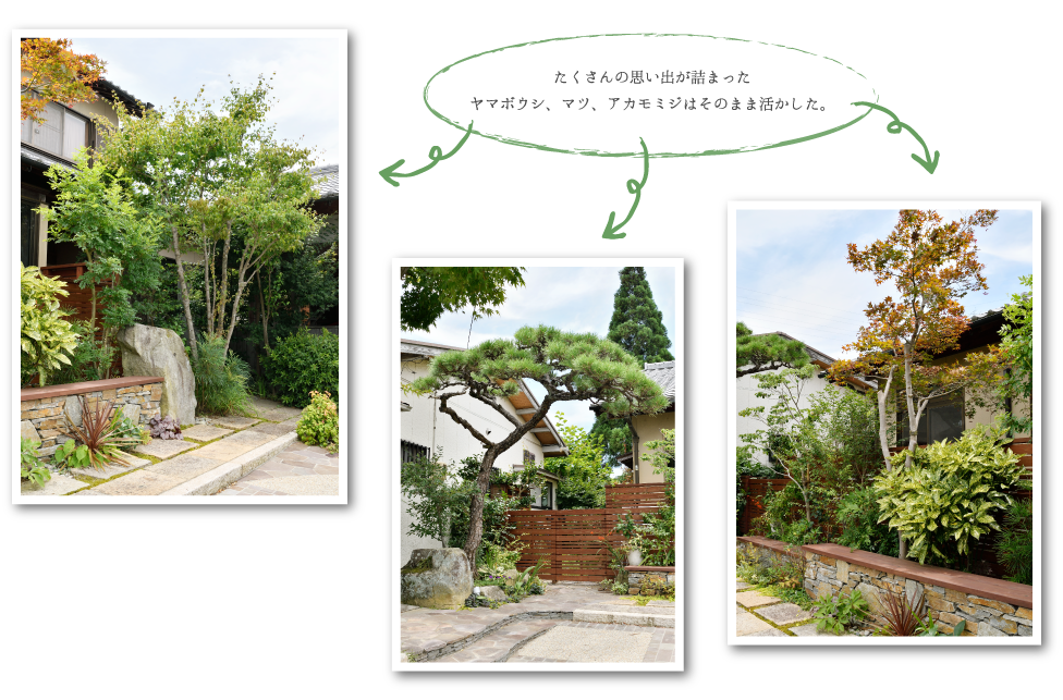 たくさんの思い出が詰まった ヤマボウシ、マツ、アカモミジはそのまま活かした。