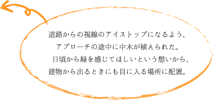 道路からの視線のアイストップになるよう、 アプローチの途中に中木が植えられた。 日頃から緑を感じてほしいという想いから、 建物から出るときにも目に入る場所に配置。