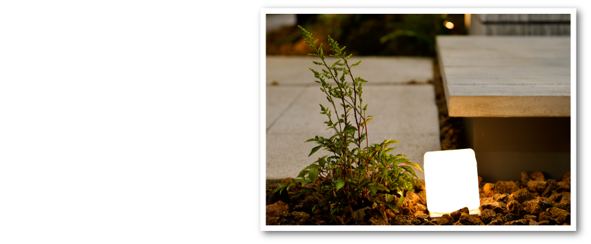 さり気なく灯るライト。 夜間のファサードに日中とは 異なった表情をつくり出すとともに、 足元の安全に一役買っています。