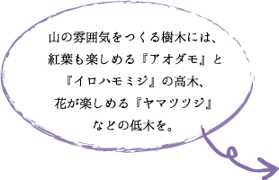 山の雰囲気をつくる樹木には、 紅葉も楽しめる『アオダモ』と 『イロハモミジ』の高木、 花が楽しめる『ヤマツツジ』 などの低木を。