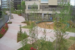 浅井謙建築研究所 株式会社 様