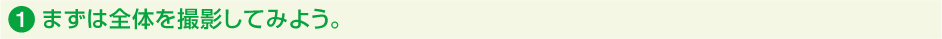 1.まずは全体を撮影してみよう。